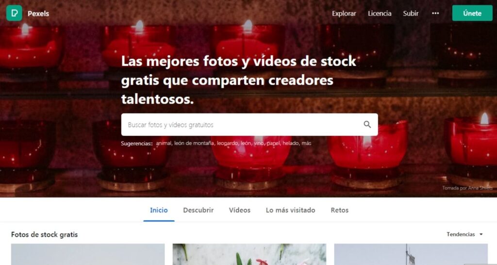 Pexels - Banco de imágenes y videos gratuito